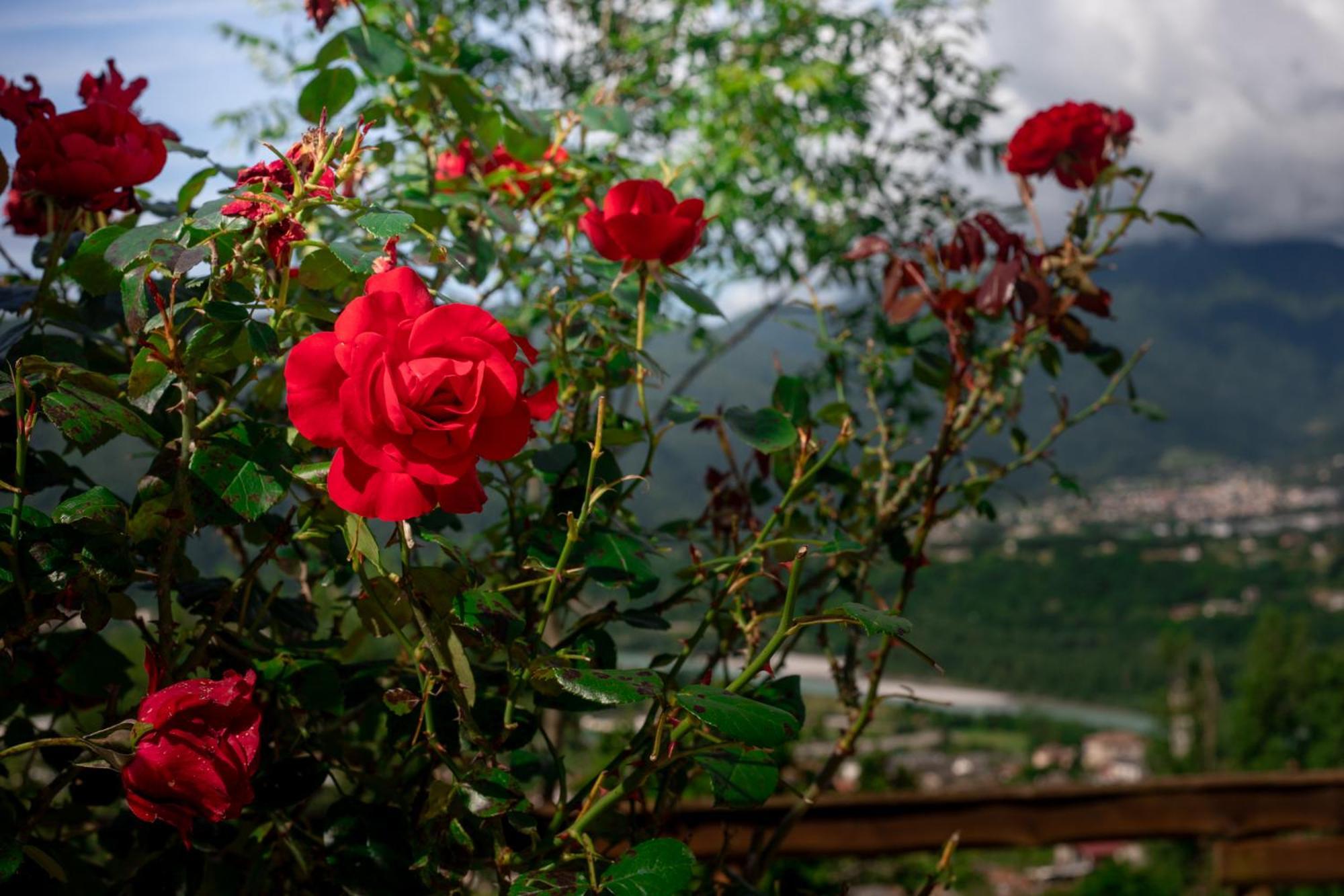 Agriturismo Riva Dei Coz Sequsino Luaran gambar